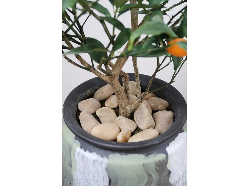 product-800-600