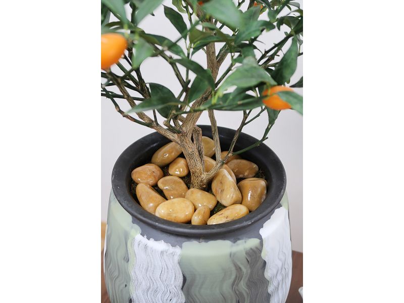 product-800-600